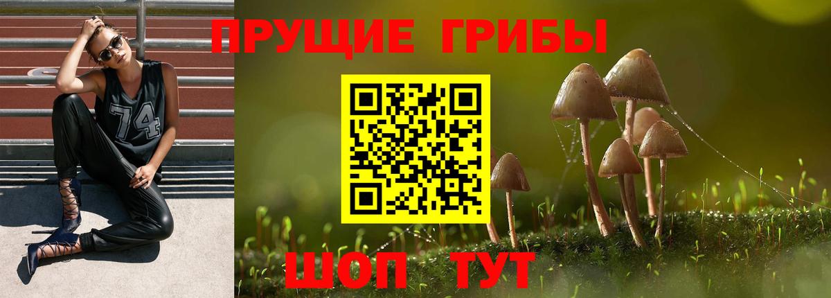 Псилоцибиновые грибы MAGIC MUSHROOMS  Вход с VPN  Хасавюрт 